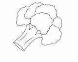 Coloring Pages Broccoli Vegetable Toddlers Preschoolers sketch template