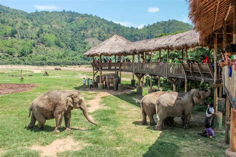 elephant nature park review
