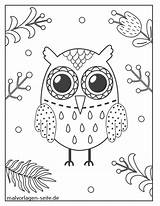 Eule Malvorlagen Malvorlage Eulen Seite Ausgemalt Owls Hochwertige Große Augen sketch template