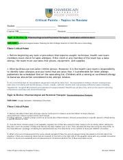 critical topics  review template   docx critical points
