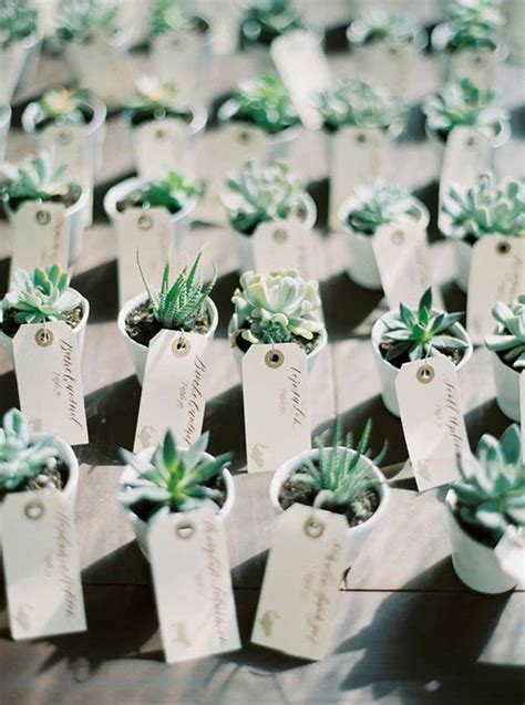 Unique Succulents Wedding Ideas And Trends For 2018