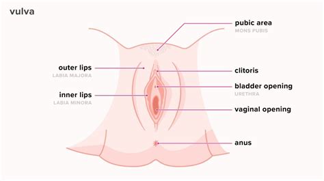 vagina 6 reasons your vagina feels sore after sex and