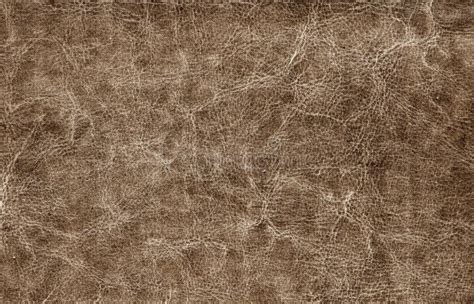 brown color suede texture stock image image  brown