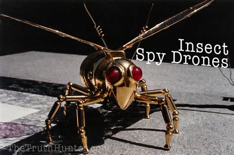 top secret nsa insect spy drone
