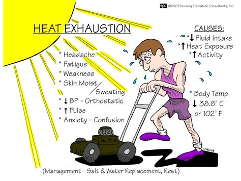symptoms  heat stroke heat rash prickly heat  heat exhaustion metro news