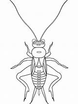 Insectes Insecte Colorat Insectos Insetto Coloriages Imprimer Insetti Animaux Dibujo Animales Paginas Desene Ligne Planse Gifgratis sketch template