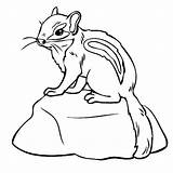 Chipmunk Coloring Pages Baby Clipart Animals Chipmunks Color Animal Kids Print Outline Thecolor Clip Zoo Try Projects Book Webstockreview Woodland sketch template