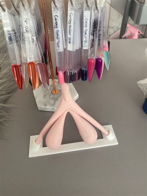 Clitoris 3d Model Medical Lab Decor Sex Education Class Feminist Room