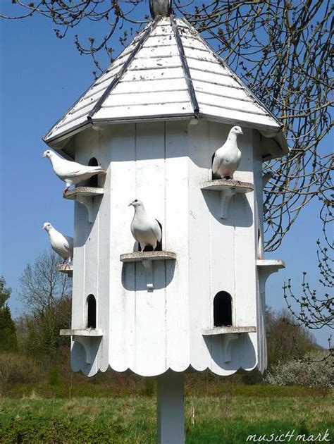 dovecote unique bird houses bird houses diy homemade bird houses