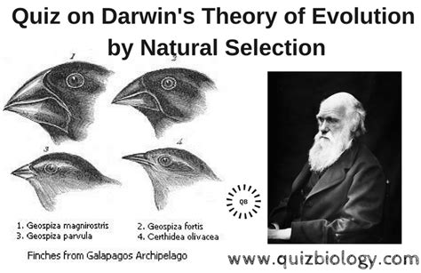 charles darwins theory  evolution  natural