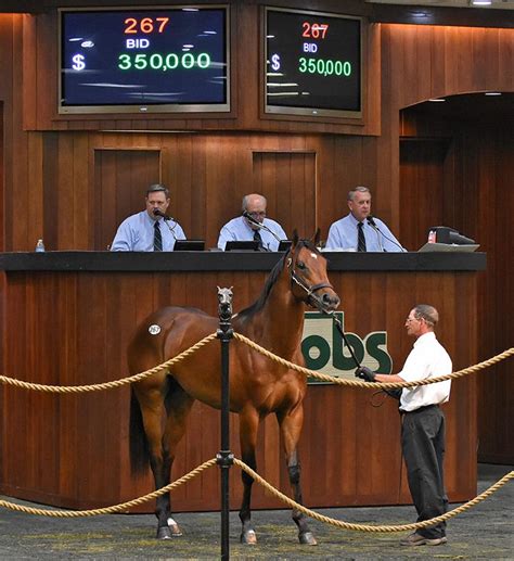 350k Into Mischief Colt At Obs April Day 1 Spendthrift