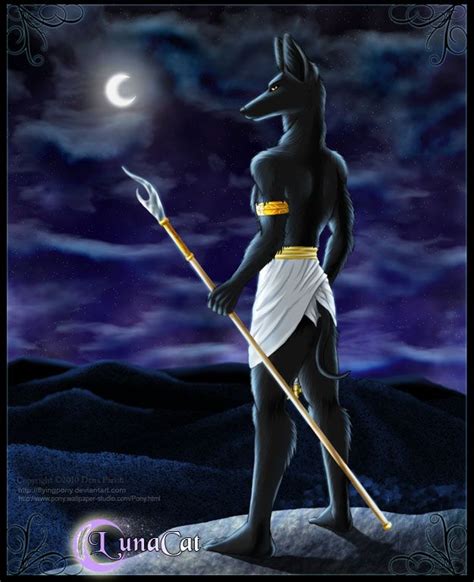 anubis the god of the afterlife in egyptian mythology lord of the