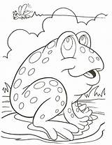 Frog Amphibians Reptile sketch template