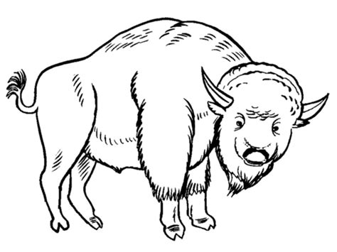 grassland animals coloring pages bubakidscom