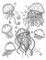 Jellyfish Fish Animal Disimpan Colorings Dari sketch template