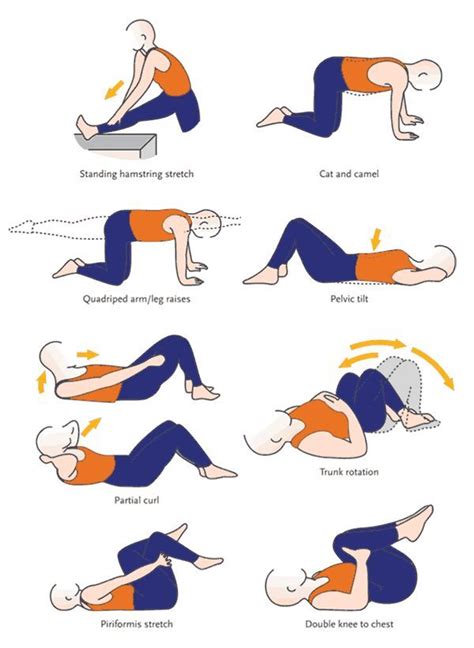 Afbeeldingsresultaat Voor Lower Back Exercises At Home Scoliosis