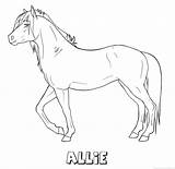 Allie Paard Naam sketch template