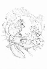 Coloring Pages Animal Adults Sketches Book Adult Drawings Bergsma Sketch Pyrography Sheets Printables Painting Paintings Volwassenen Voor Press Friends Kleuren sketch template