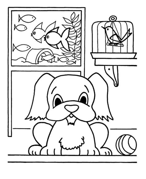 house pets coloring page  printable coloring pages  kids
