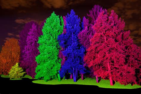 holiday lights guide morton arboretum flips  switch early