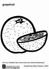 Colorare Pompelmo Pompelmoes Pampelmuse Pamplemousse Malvorlage Grapefruit Pomelo Frutas Naranjas Schulbilder Grote Große Scarica sketch template