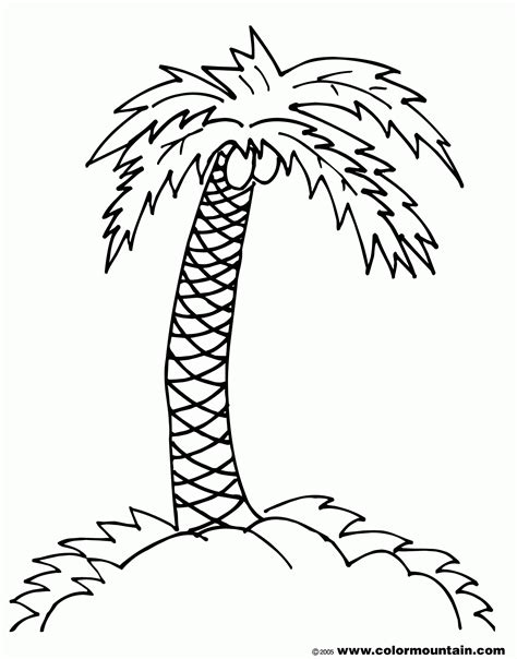 palm tree coloring pages  print coloring home