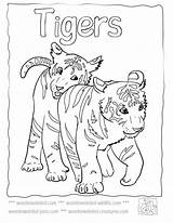 Tiger Coloring Pages Baby Cute Tigers Sheets Lsu Printable Kids Mother Colouring Color Footprints Cub Animals Print Cubs Drawing Colour sketch template