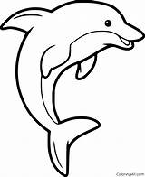 Dolphin Coloring Dolphins Sketch sketch template