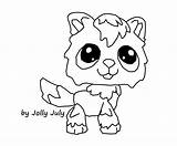 Coloring Pages Lps Shorthair Cats Template sketch template