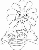Flower Daisy Coloring Angry Pages sketch template