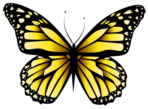 yellow butterfly clipart png   cliparts  images  clipground
