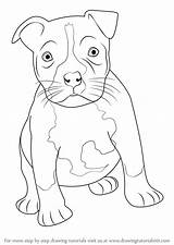Pitbull Puppy Draw Drawing Bull Pit American Staffordshire Dog Step Terrier Drawings Animals Simple Face Drawingtutorials101 Tutorial Sketches Tutorials Other sketch template