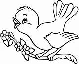 Colouring Birds Drawing Coloring Pages Clip Getdrawings sketch template