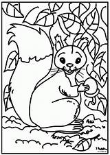 Squirrel Eekhoorn Coloring Pages Kleurplaat Kleurplaten Squirrels Animated Fun Kids Print Do Van Animal sketch template