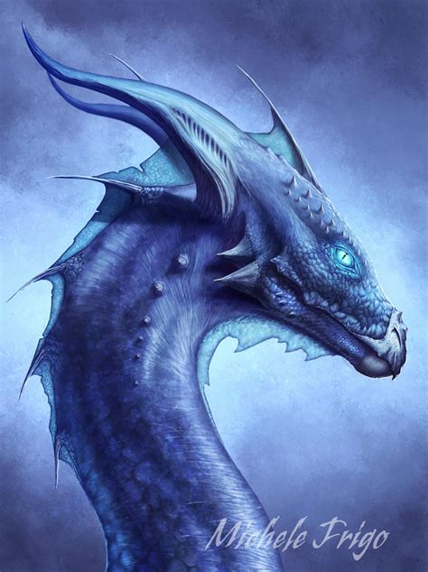 blue dragon dragons photo  fanpop