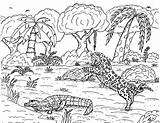 Jaguar Coloring Pages Caiman Crocodile Attacking Alligator Robin Great sketch template