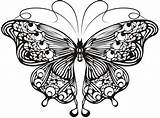 Butterfly Outline Drawing Vector Outlines Colouring Material Svg Drawings Illustration Ai Animal Format Paintingvalley Eps Template 11mb Use Newdesign  sketch template