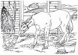 Coloring Horse Country Barn Pages Cat Living Cavalo Book sketch template