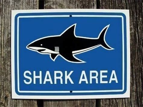 sign shark area sign   blue version   etsy mit