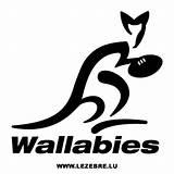 Wallabies Australie Casquette Gilbert Lezebre Survolez Agrandir sketch template