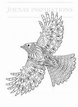 Pages Adult Coloring Inspirations Eagle Animals Amazing Etsy Colouring sketch template