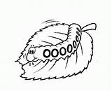 Caterpillar Coloring Printable Pages Template Clipart Kids Drawing Leaves Library Eating Popular sketch template