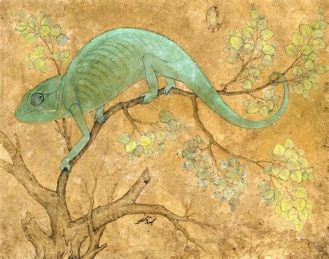 A Chameleon 1612 Ustad Mansur