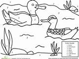 Number Ducks Color Education Artykuł sketch template