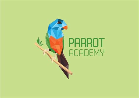 parrot academy  academy parrot design