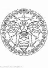 Coloring Pages Bee Mandala sketch template