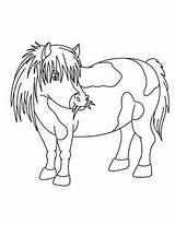 Kuda Mewarnai Colouring Ponies sketch template