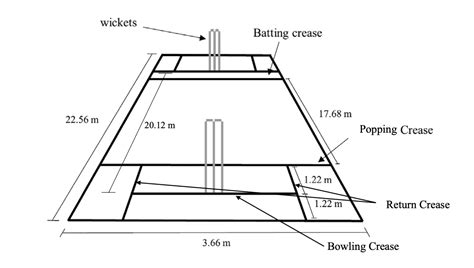 cricket pitch length width  dimensions visual illustration
