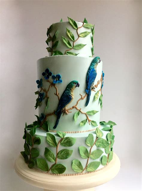 pin  maggie todorova  parrot cake pretty birthday cakes elaborate cakes cake decorating