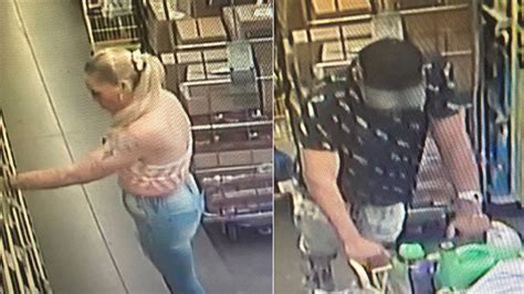 suspects sought after shoplifting from dollar general